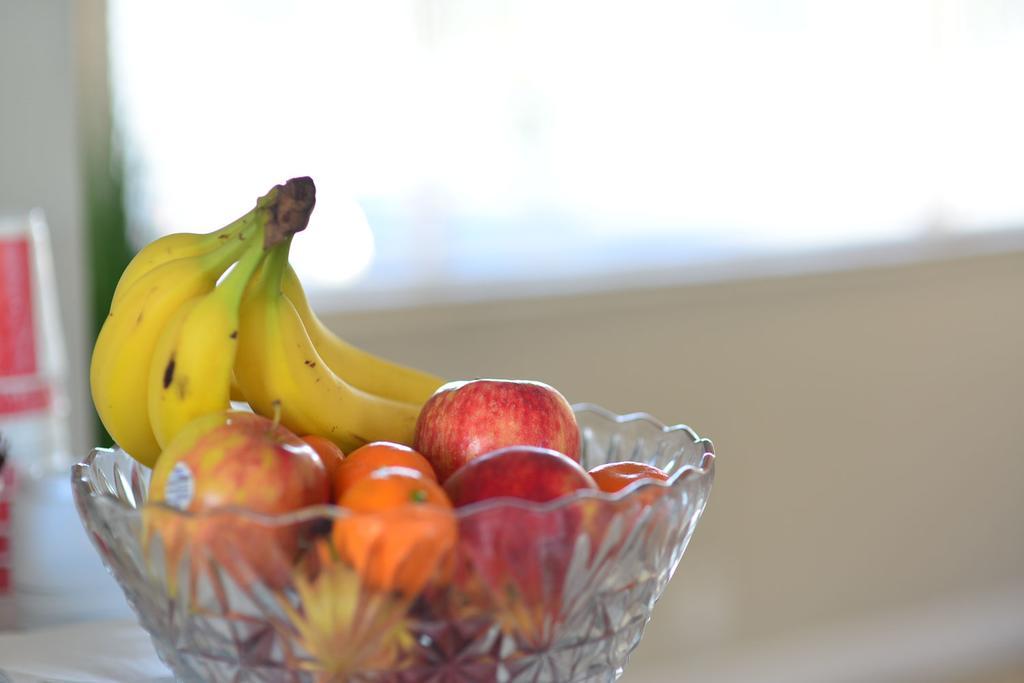 Regency Inn & Suites ساراسوتا المظهر الخارجي الصورة
